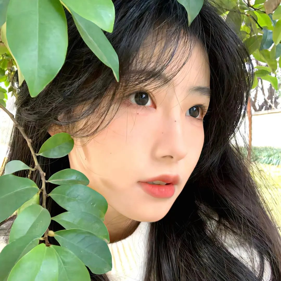 白鹭